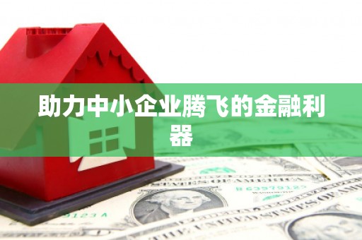 新青助力中小企业腾飞的金融利器