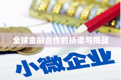 新青全球金融合作的桥梁与挑战