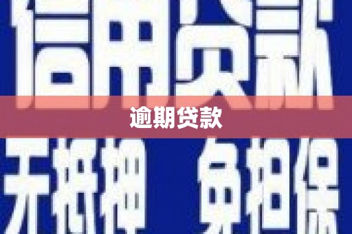 新青逾期贷款