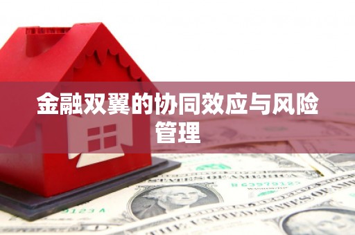 新青金融双翼的协同效应与风险管理