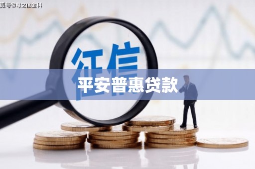 新青平安普惠贷款